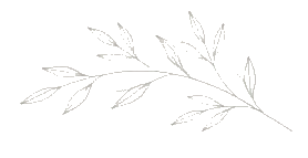 sideflower-e1782597545176